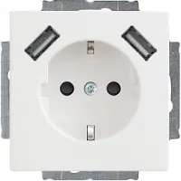 Busch-Jaeger SCHUKO-2x USB Steckdose 20 EUCB2USB-84 2CKA002011A6273