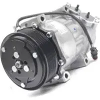 Delphi CS20524 H15 Klimaanlage Klimakompressor PAG 46 für FORD Ranger (ET) RANGER (ER, EQ) für MAZDA BT-50 (CD, UN)