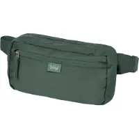 Baagl Nierentasche Go Green GRS grün wasserdicht 26x14x6 cm mit 2L Volumen und Organizer