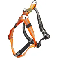 Afp Geschirr Off Street mandarine, Größe: XL / Breite: 2,5 cm