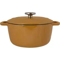 COSY&TRENDY Schmortopf mit Deckel – Gemütlich & Trendig – Fontestic – Emailliertes Gusseisen – 28 cm Durchmesser – 6,15 l – Für alle Herdarten geeignet, inklusive Induktion – Bernstein