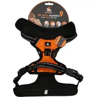 Spotted! Pro Hundegeschirr No Pull Haness orange, Größe: S