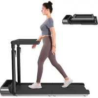 Kingsmith King Smith Fitness Walkingpad R3 Hybrid+ (Speditionsversand)