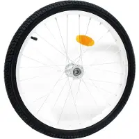 Wiltec Ersatzrad für Fahrradanhänger für Hunde 47-406 (20x1,75"), Rad für Transportanhänger, luftbereift, mit Schraderventil