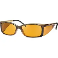 Eschenbach Filterbrille Ambelis 16631 50-15% Verlauf