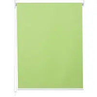 Mendler Rollo MCW-D52, Fensterrollo Seitenzugrollo Jalousie, Sonnenschutz Verdunkelung blickdicht 90x160cm hellgrün