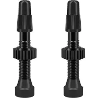 WTB tyres Tubeless-Ventile presta TCS