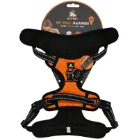 Spotted! Pro Geschirr Orange M