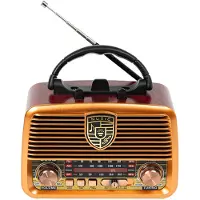 BLOW Analog radio RA10 AM/FM solar