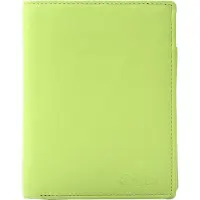 Esquire Leder Geldbörse Viktoria Wallet Sharp Green hellgrün