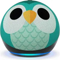 Amazon Echo Dot 5 Eulen Design