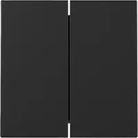 Gira 3295005, Schwarz, , Matte, Aufspannplatte