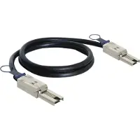 DeLOCK Cable mini SAS 26pin mini SAS 26pin (SFF 8088) 1m