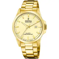 Festina Uhr Swiss Herren gold Armband Edelstahl UF20044/4