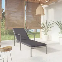 Prolenta Maison Exclusive - Sonnenliege mit Auflage Poly Rattan Grau