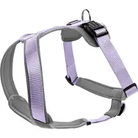 Hunter Geschirr Neopren, Farbe:lavendel/grau, Größen:M/1