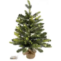 Generic Rebecca Mobili Künstlicher Weihnachtsbaum, H 60 cm, 50 LED-Lichter, PVC und PE, grün