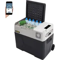 Vevor Kühlbox 50L Mini Kühlschrank Auto Camping -20℃ 12V/230V