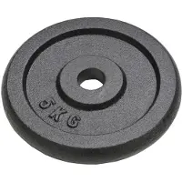 vidaXL Hantelscheiben 4 Stk. 4x5 kg Gusseisen