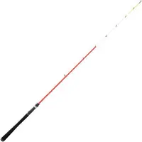 Daiwa Sensor Palangrotte Eggingrute Silber 1.80 m / 30-120 g Silber 1.80 m