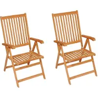 vidaXL Gartenstühle 2 Stk. mit Blauen Kissen Massivholz Teak