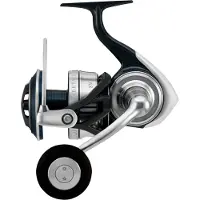 Daiwa 21 Certate SW, 8000-P, Beidhändig, Meeres Spinning Angelrolle, Frontbremse, 10315-081