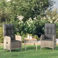 vidaXL Gartenstühle 2 Stk. Poly Rattan Grau , Gartenstühle Design 2024