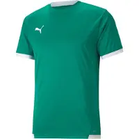 Puma Teamliga Trikot Kurzarm Kinder - Grün / Weiß