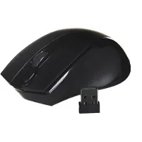 A4Tech G9-500F, RF Wireless, Optisch, Büro, 2.4 GHz, USB, AA