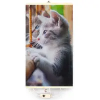 Macleans Infrarotheizung Thermostat Bildheizung Heizpaneel Infrarot Heizkörper 430W Elektro Heizung mit Motiv Katze