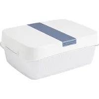 Rotho Frischhaltedose mit Deckel Fresh 6,4L - Kühlschrank Gemüse Behälter mit Siebkorb 31,4 x 23,9 x 12,0 cm - Aufbewahrungsbox für Obst und Gemüse