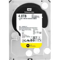 Western Digital WD RE 4TB, 3.5 Zoll, 4000 GB, 7200 RPM