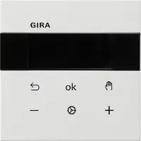 Gira RTR Display 5393112