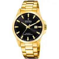 Festina Uhr Swiss Herren gold Armband Edelstahl UF20044/6