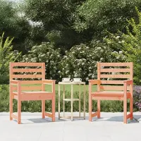 vidaXL "2026 Promotion" Gartenstühle 2 Stk. - Hohe Qualität - 60x48x91 cm Massivholz Douglasie - Gartenstühle CC29007
