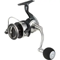 Daiwa 24 Certate SW(G) 5000-H Meeres-Spinnrolle