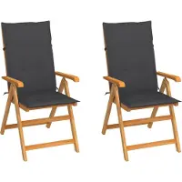 vidaXL "im Angebot" Gartenstühle 2 Stk. - bis 150 kg - mit Anthrazit Kissen Massivholz Teak - Stapelsessel CC2676