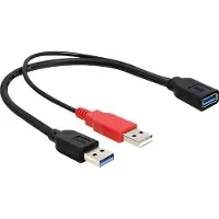 DeLOCK USB Y-Kabel