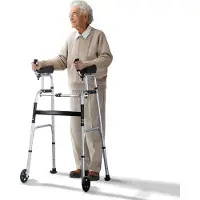 Vevor 2-in-1-Gehhilfe