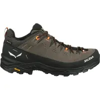 Salewa Schuhe Alp Trainer 2 Gtx 614007953