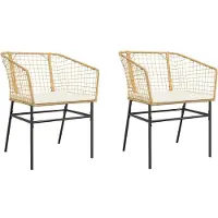 vidaXL Gartenstühle 2 Stk. mit Kissen Braun Poly Rattan