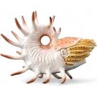 Collecta Cooperoceras handbemalte Figur