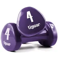 Tiguar Kurzhanteln - aubergine