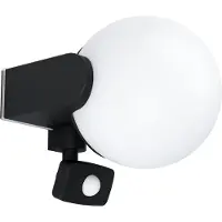 Eglo Außen Wandlampe Rubio, 1 flammige Außenleuchte mit Bewegungsmelder, Dämmerungssensor, Wandleuchte, Außenlampe E27, IP44