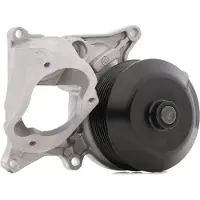 Valeo 529193 Kühlmittelpumpe Wasserpumpe mit Doppelriemenscheibe für BMW 3 Touring (E91) 3 Limousine (E90) 5 Touring (F11) 1 Schrägheck (E87)