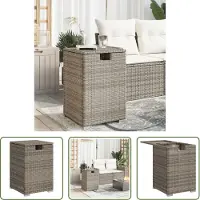 The Living Store Propan-Tank-Verstecktisch Grau 40x40x60 cm Poly Rattan
