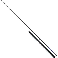 Shimano Fishing Technium Deep Drop Bootsrute Silber 2.29 m / 50-1000 g Silber 2.29 m