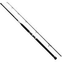 Shimano Fishing 25grappler Type C Spinnrute Silber 2.49 m / 200 g Silber 2.49 m
