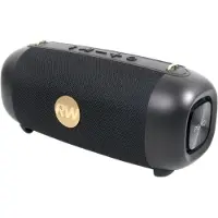 PEAQ PPA 405-RW Robbie Williams Edition Schwarzer kabelloser Lautsprecher