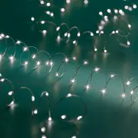 Spetebo 1.01 Batteriebetriebene Lichterkette mit Funktion - 100 LED / 5m - Silberdraht Batterie Innen und Außen - Leuchtfarbe: kaltweiß